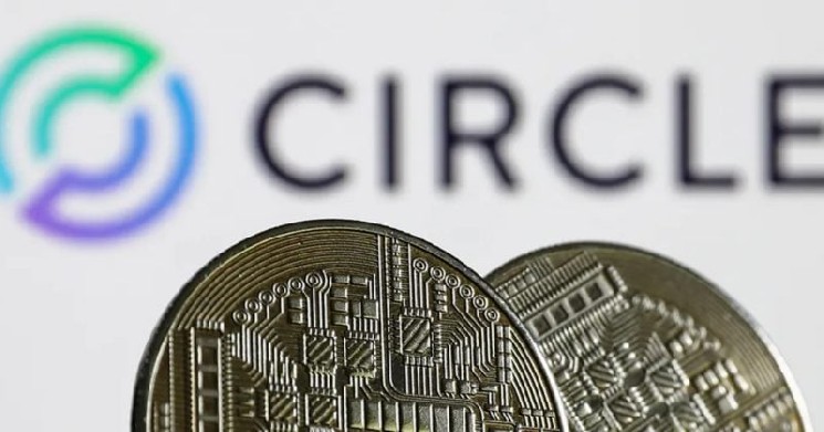 Circle изучает запуск собственных токенов в Arc Network