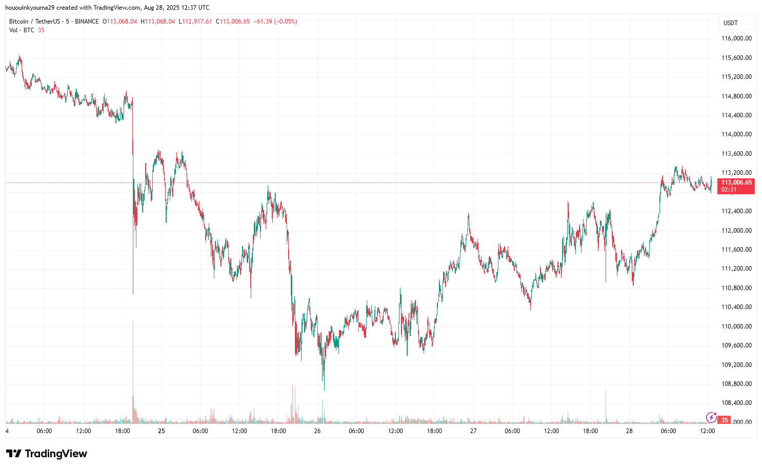 Btcusdt chart image by Binance: hououinkyouma29