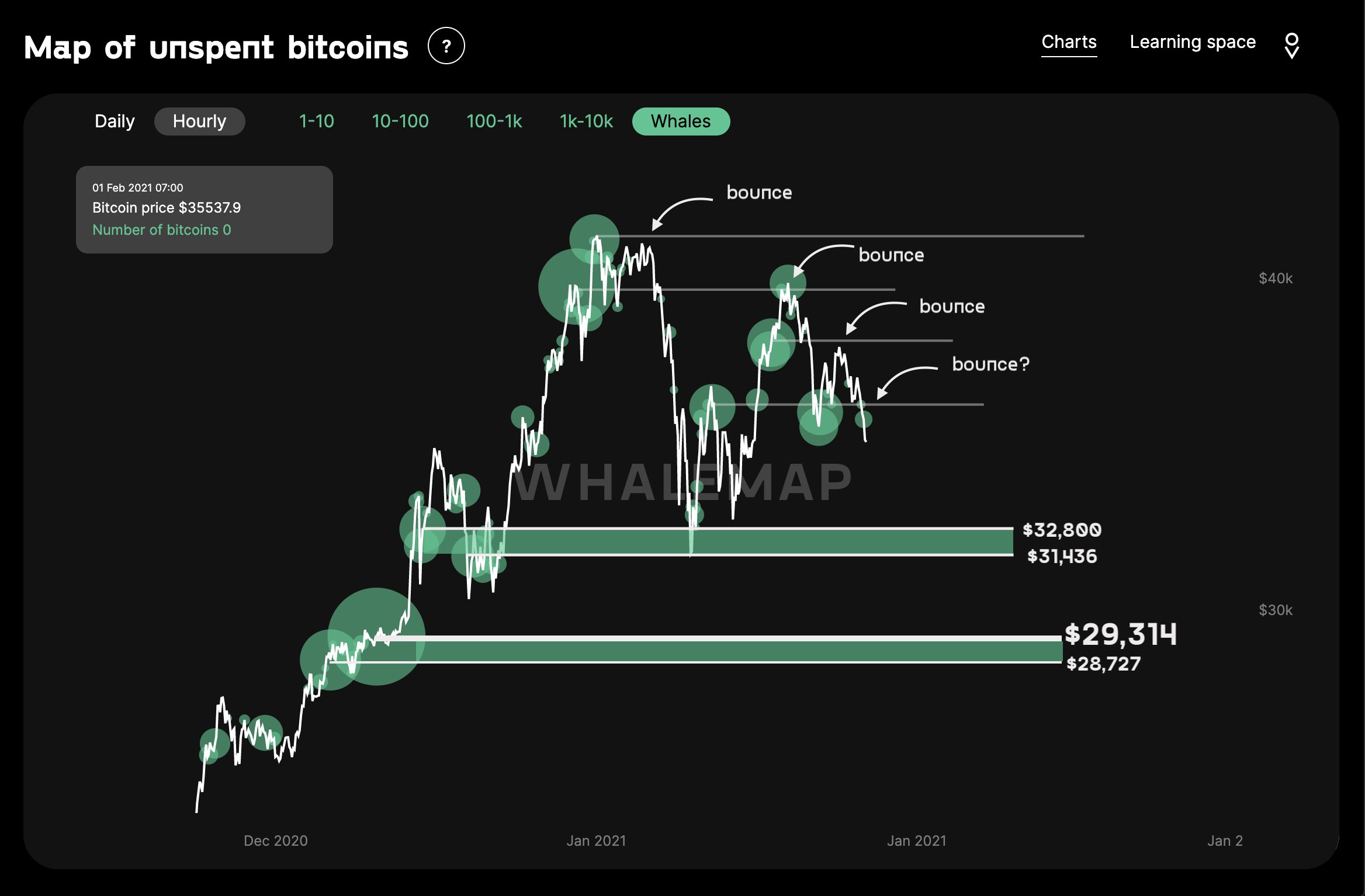 Top 10 bitcoin whales код. Биткоин ключ.