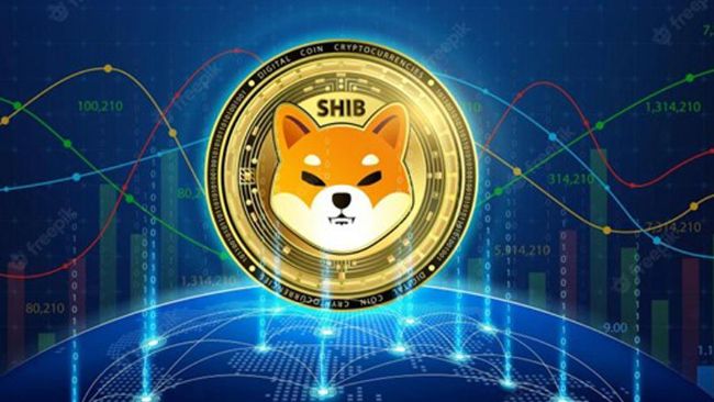 SHIB упал на 5%, несмотря на сжигание токенов, поскольку BTC упал ниже 200-дневного среднего значения