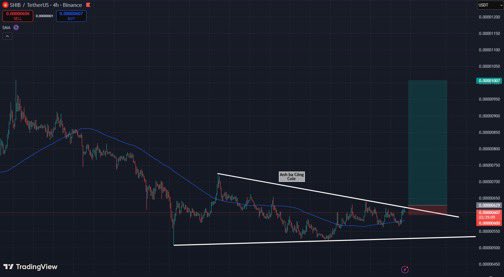 Shiba Inu Descending Triangle Breakout/Leeron Shim