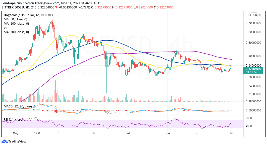 DOGE/USD price chart