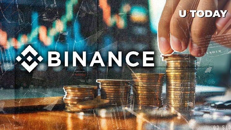Binance Wallet свернул Metamask: три причины от Top VC