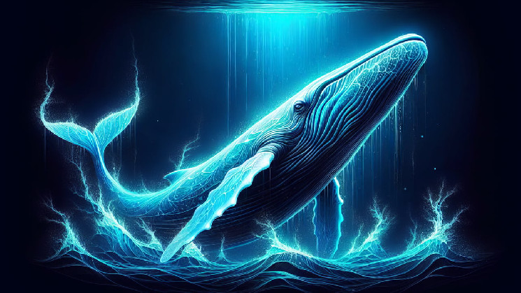 Рассказ о загадочном биткойн-ките 2010 года: раскрыта закономерность последовательной ликвидации