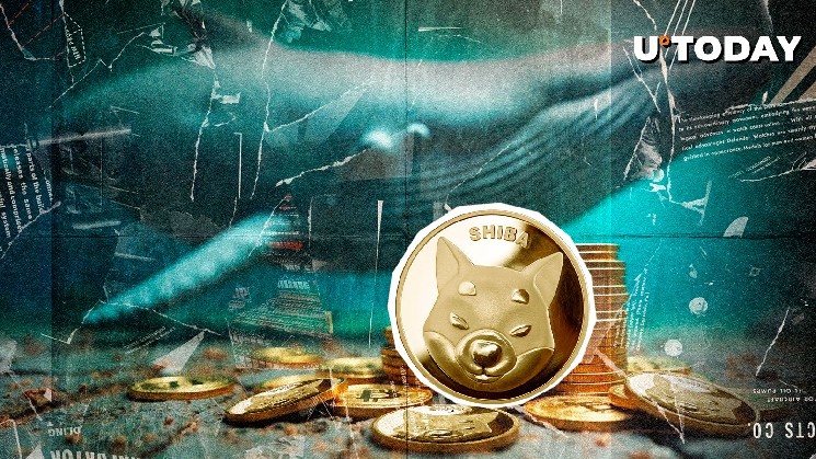 61% Shiba Inu Surge: киты вернулись?