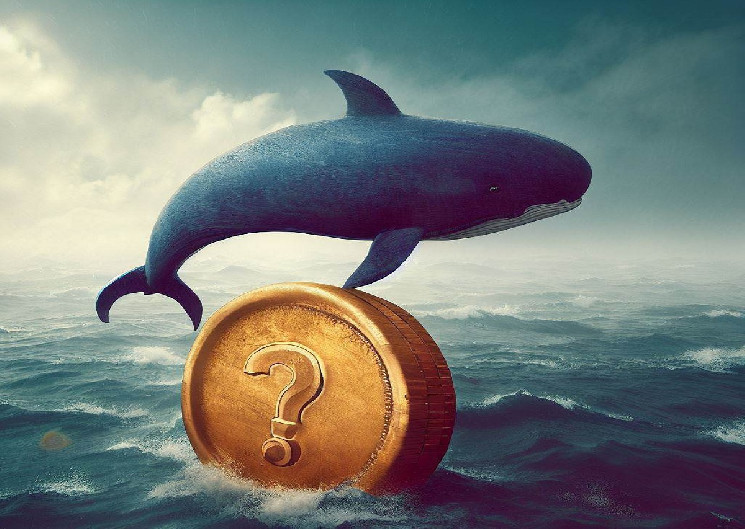 Whale, Who Previously Made .67 Million Profit from Single Trade, Makes New Altcoin Purchases