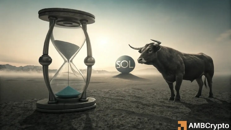 Solana’s mid-range trap – Here’s why SOL traders should stay cautious!