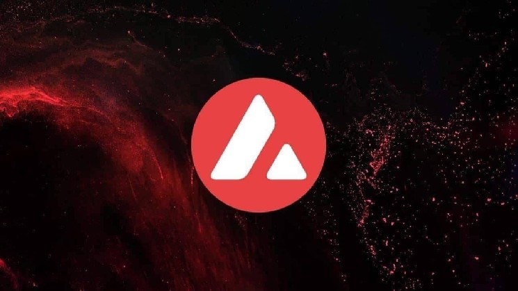 Xsy.fi запускает цифровое синтетическое единство на Avalanche