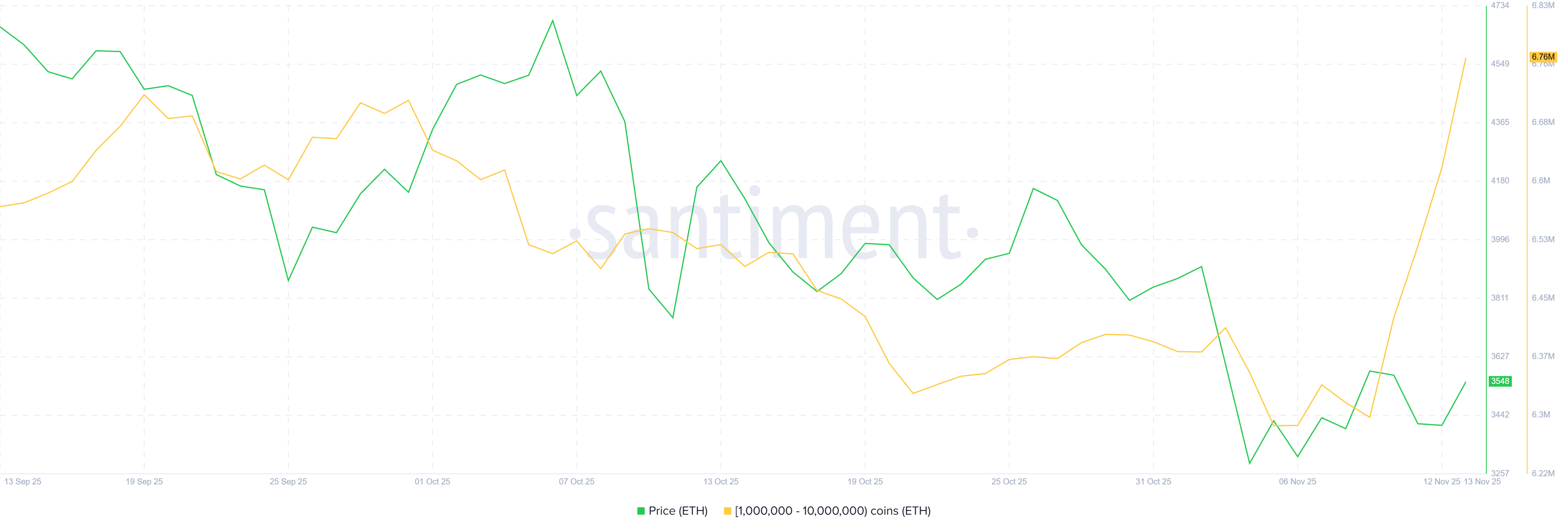 Ethereum Whale Holdings
