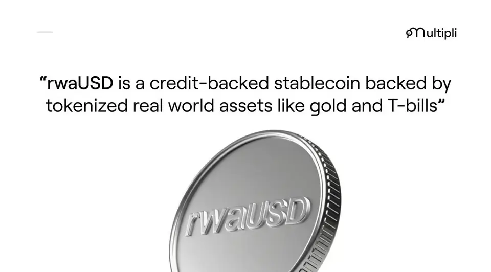 What rwaUSD Is Multipli.fi