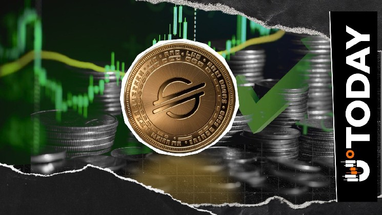 Генеральный директор Stellar нарушает молчание о 700-процентном росте контрактов XLM по мере роста их внедрения