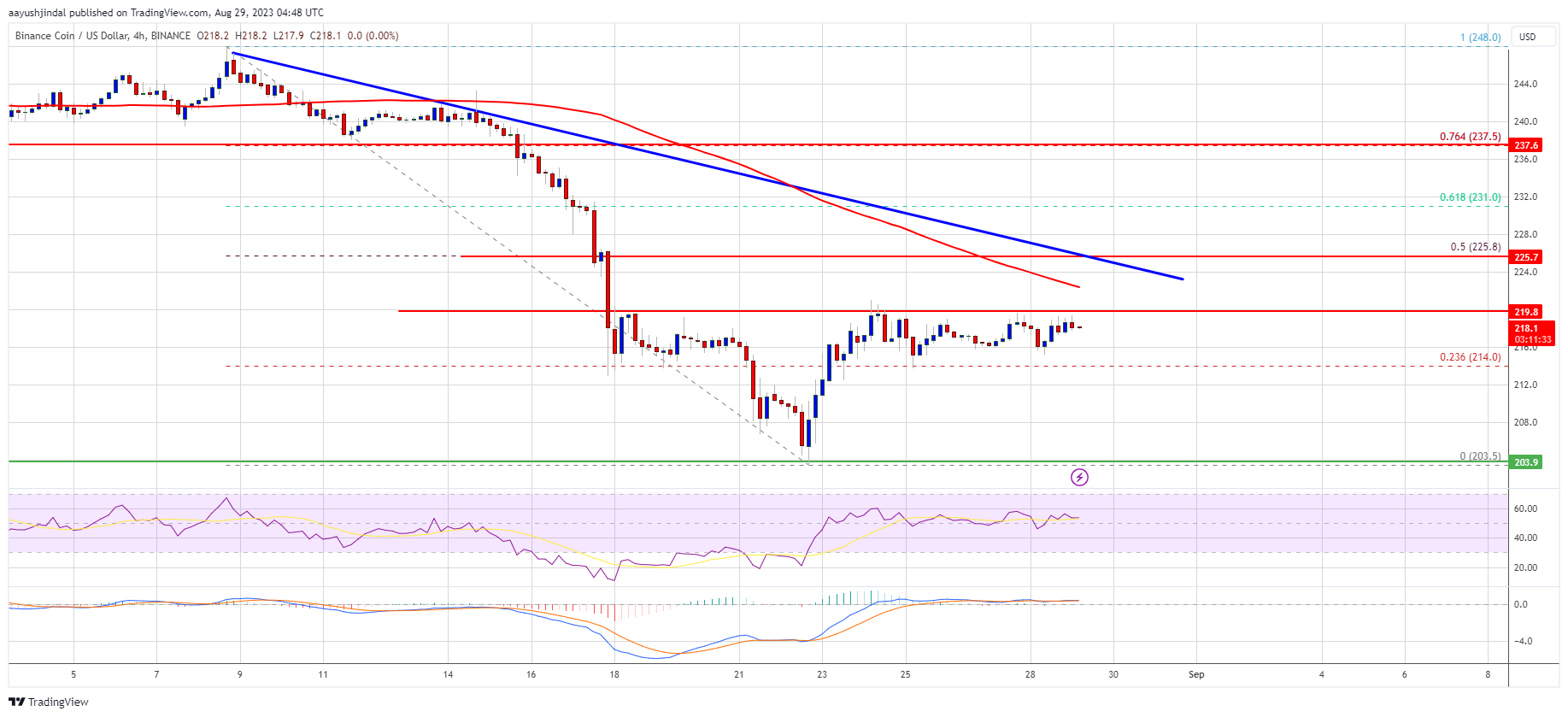 Prediksi Harga BNB: Pemulihan Ke $235 Akan Segera Terjadi Saat Bulls Masuk