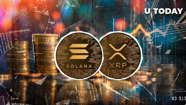 ИИ выбирает XRP и Solana, поскольку она превзойдут биткоин в январе 2025 года