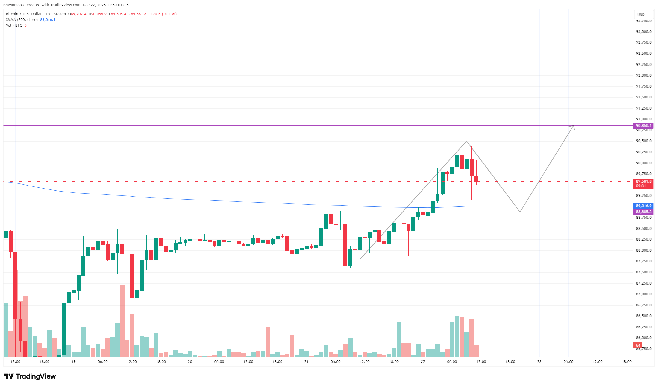 Криптовалюты, Цена Биткоина