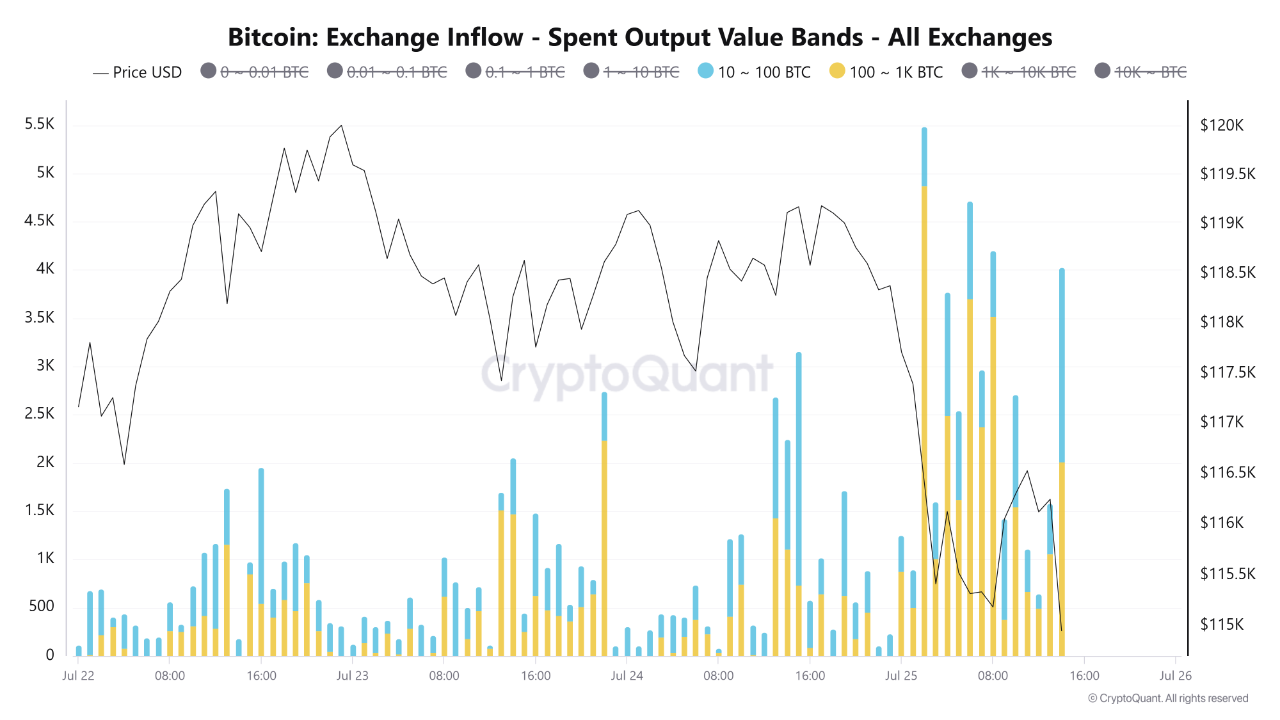 BTC and XRP show low retail sentiment making them potential buy-low opportunities