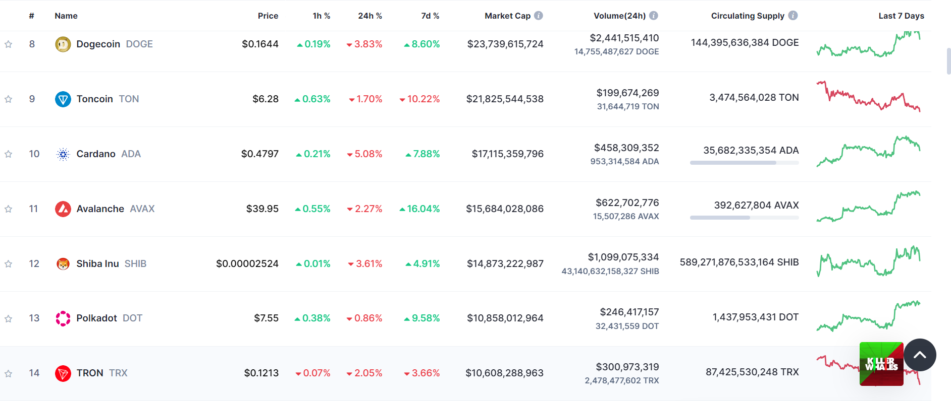 Market Ranking, Courtesy: CoinMarketCap