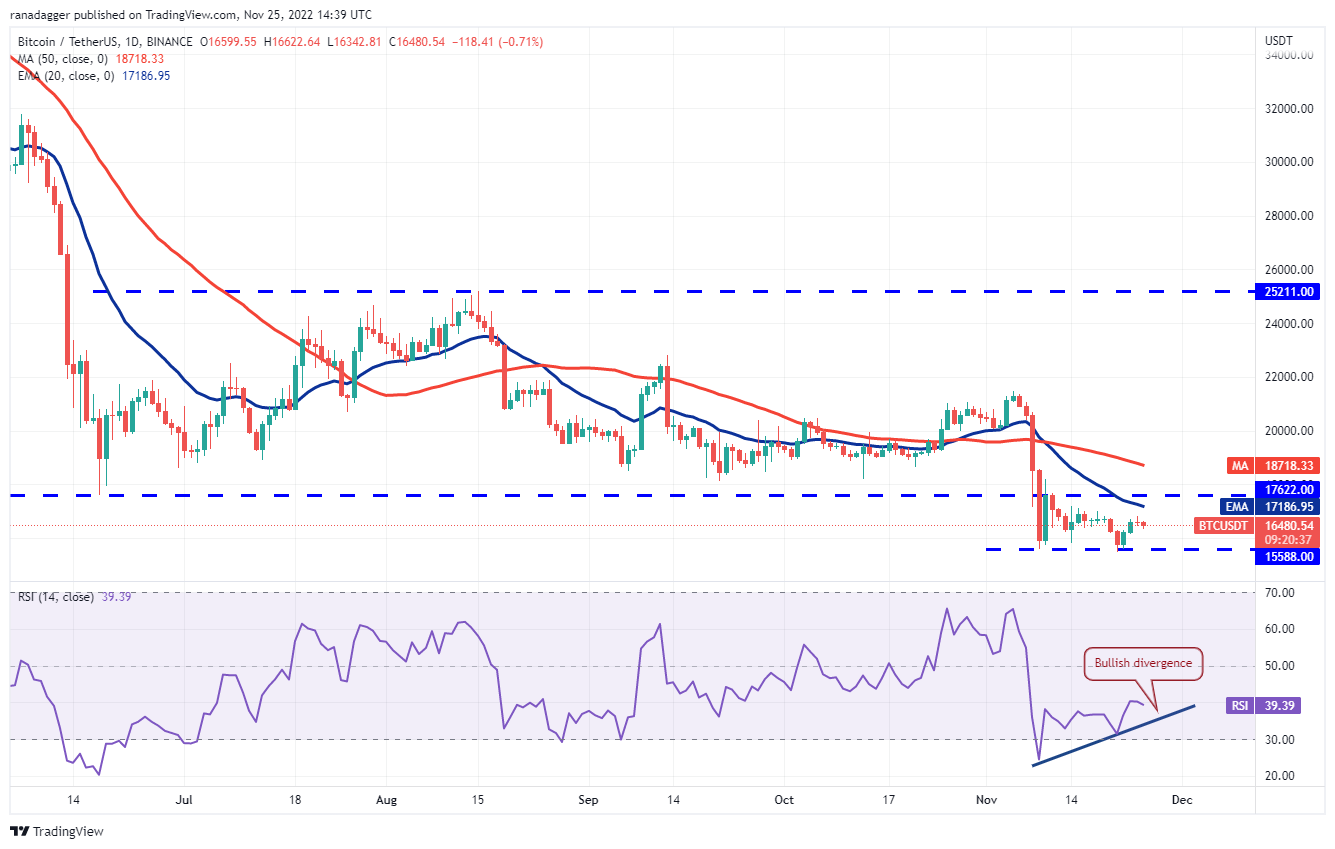Phân tích giá 25/11: BTC, ETH, BNB, XRP, ADA, DOGE, MATIC, DOT, LTC, UNI 39 36837372ddee061e4218082b4687e0a3a51ba36c