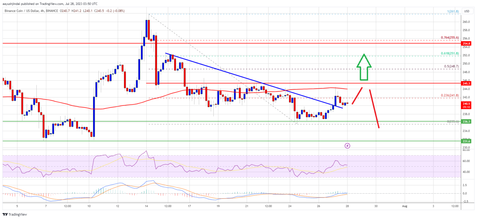 Harga BNB Berkonsolidasi Di Bawah $250: Yang Dapat Memicu Kenaikan Baru