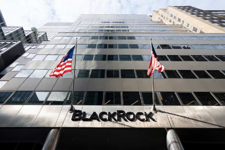 Предупреждение о массовом усыновлении? Генеральный директор BlackRock однажды сказал, что ни один клиент не интересуется криптовалютой