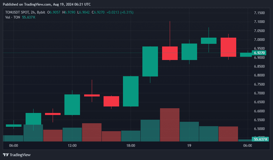 TON secures top gainer spot with 7% jump, but market signals caution ahead - 1