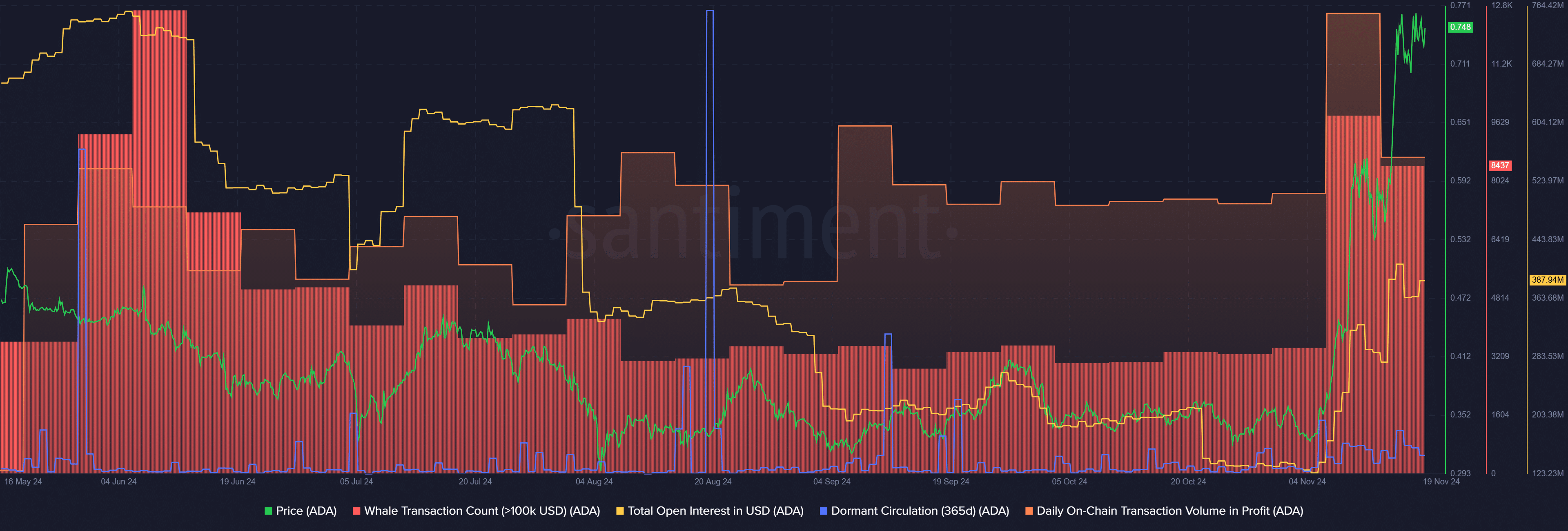 Cardano’s rally continues with 5-month high whale transactions - 1