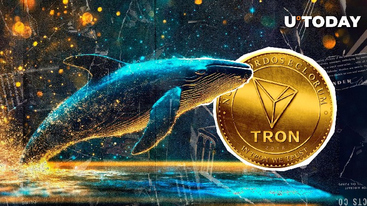 Tron Skyrockets 145% в ките движется в размере 627 240 000 долл.