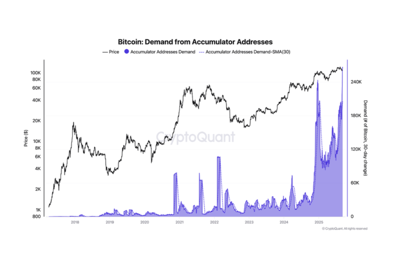 Bitcoin Accumulator Addresses Demand