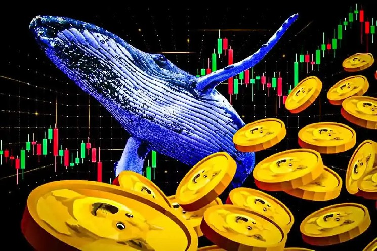 Может ли цена Dogecoin отскочить от зоны слияния, когда киты купить 280 м дог?