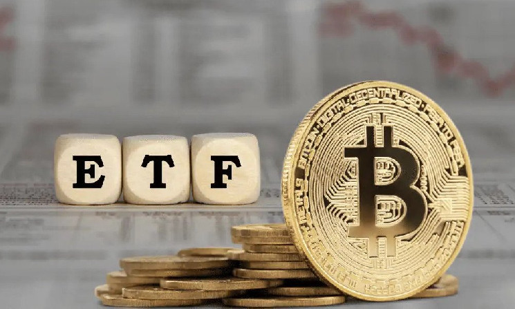 Спотовые биткоин-ETF сохраняют положительные потоки 8 из 10 дней