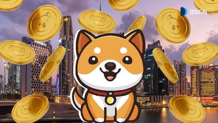 Что такое свойства Babydoge?