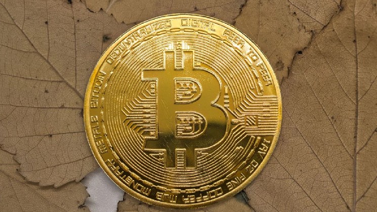 Tempo Registers $2.5B Increase in Stablecoin Transfer