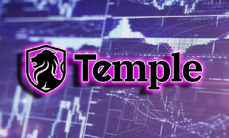 Temple привлекла $5 млн для создания приватной инфраструктуры капитальных рынков