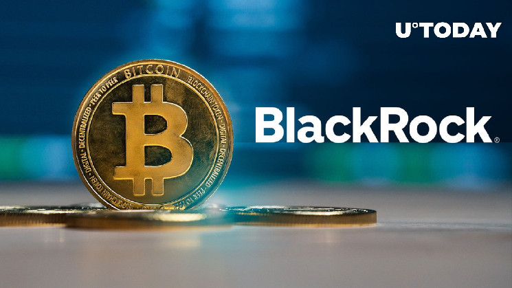 Биткойн-гигант: BlackRock меняет OKX и Kraken в BTC Holdings