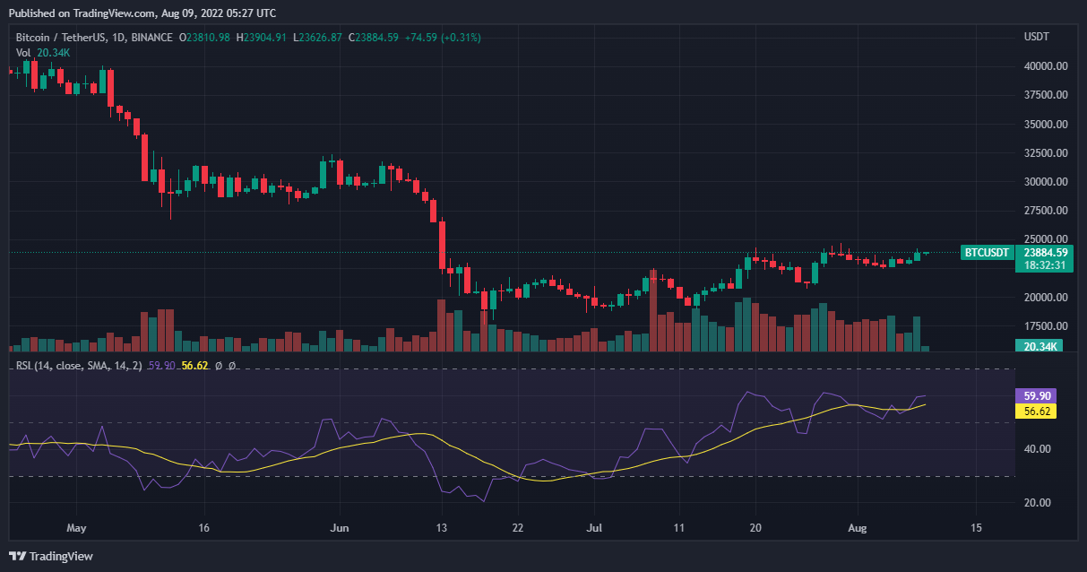 btc price january 13