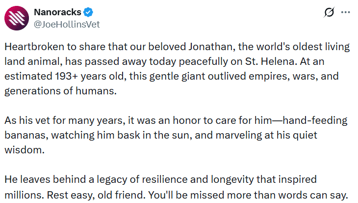 Мемкоин вырос на 1400% на фоне фейка о смерти 193-летней черепахи Мемкоин вырос на 1400% на фоне фейка о смерти 193-летней черепахи