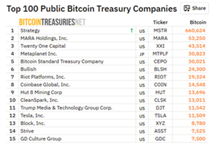 Инвестиции, Stock Investment