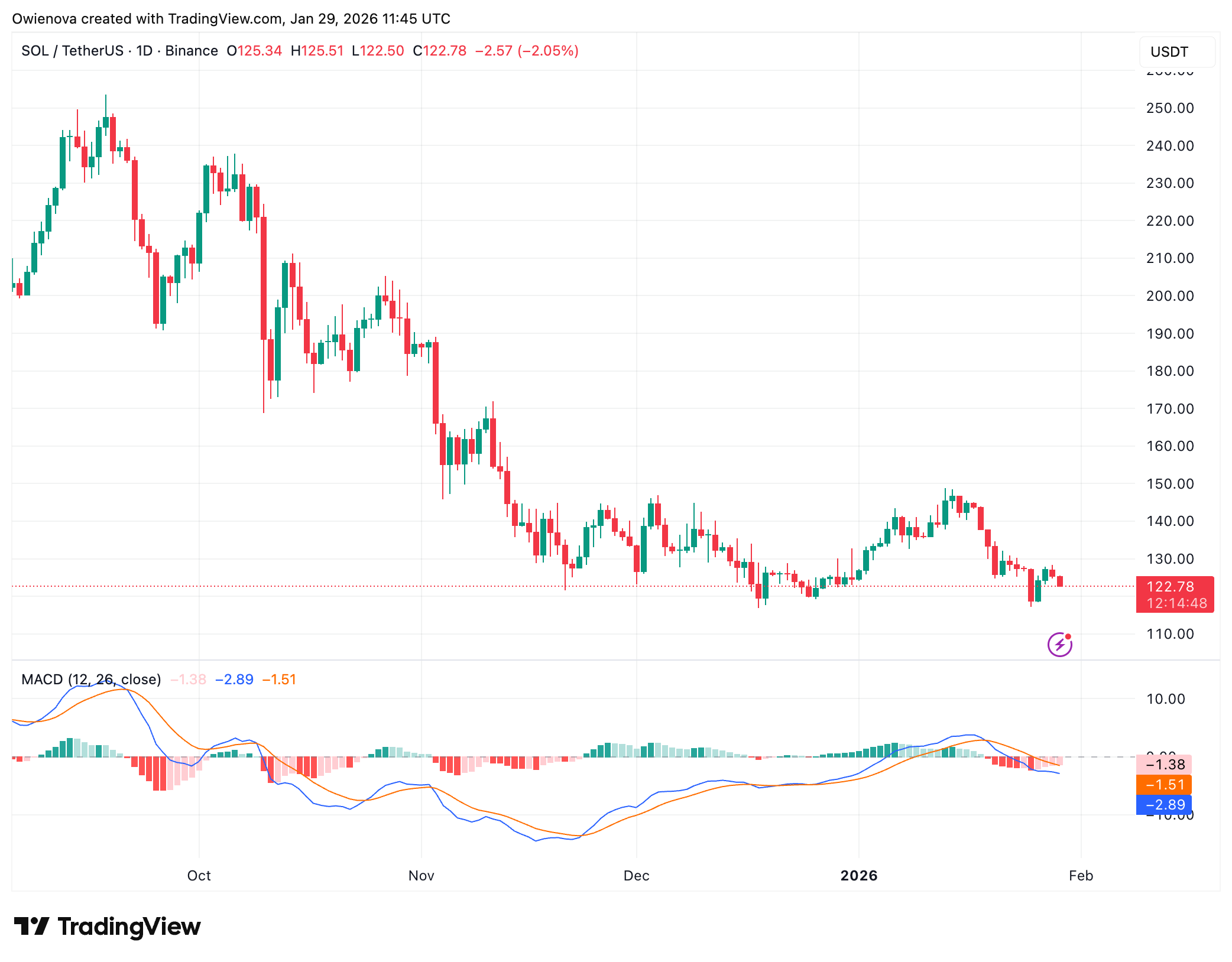 BINANCE:SOLUSDT Chart Image by Owienova