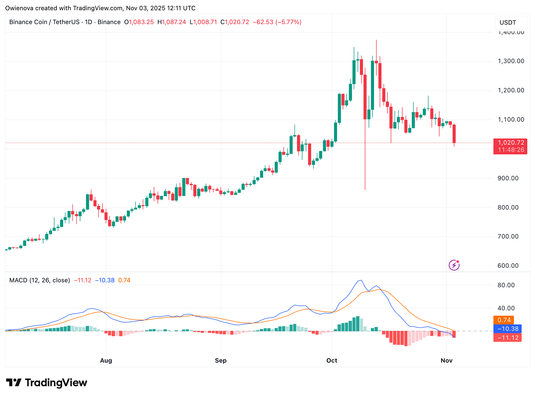 BINANCE:BNBUSDT Chart Image by Owienova