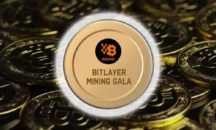 Создатели Bitlayer запустили программу вознаграждений