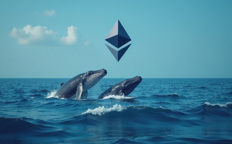Ethereum Staking Skyrockets как киты агрессивно накапливают ETH