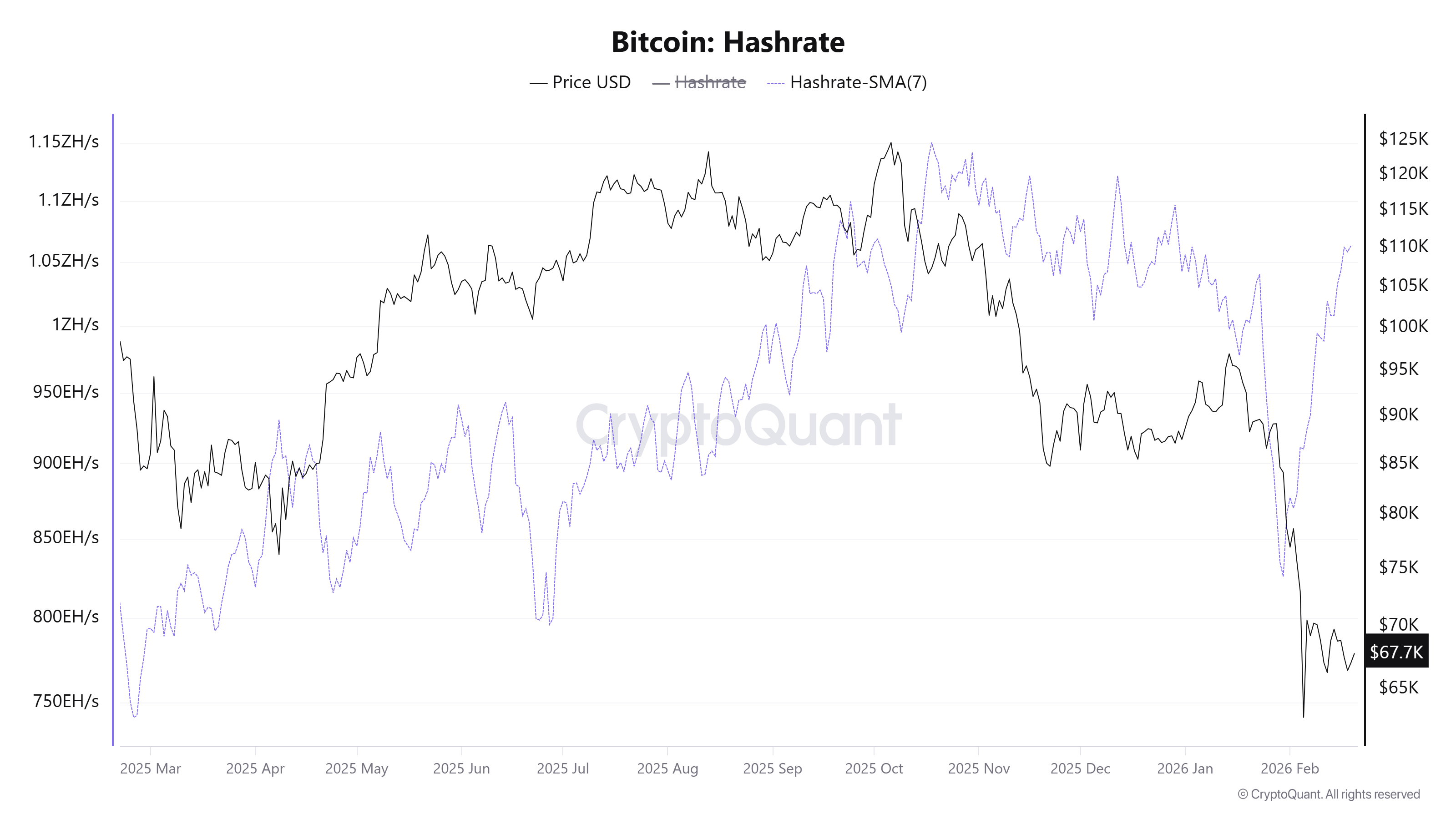 Bitcoin Hashrate. Source: CryptoQuant.
