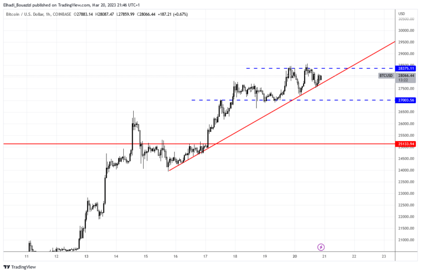 الرسم البياني لحركة سعر بيتكوين 1ساعة