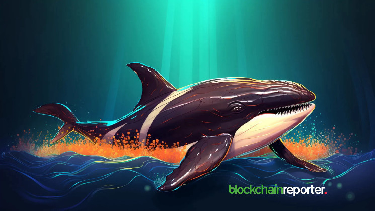 Memecoin Whale переходит с $WIF на $BONK из-за падения цен