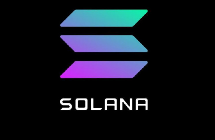 Solana Trader перевел от $242 до $250 тыс. за 1 день: вот как