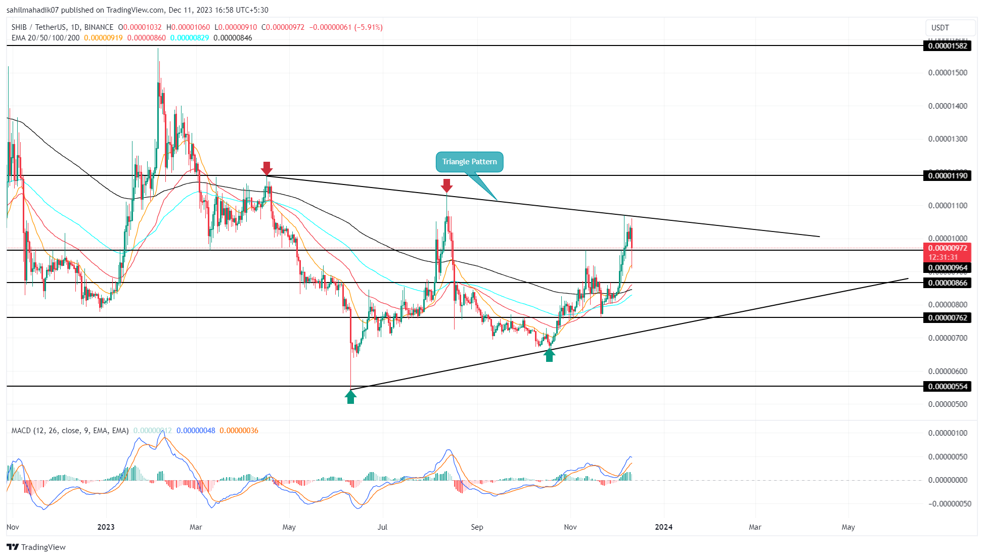 Shiba Inu Price Prediction