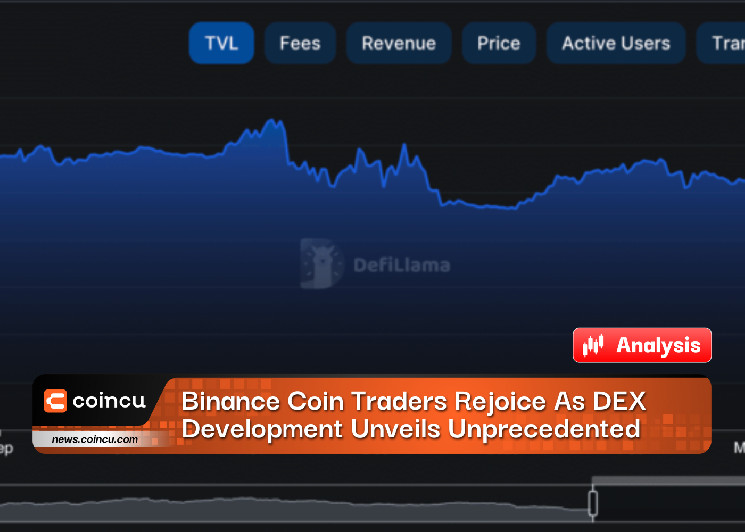 Трейдеры Binance Coin радуются беспрецедентным возможностям разработки DEX