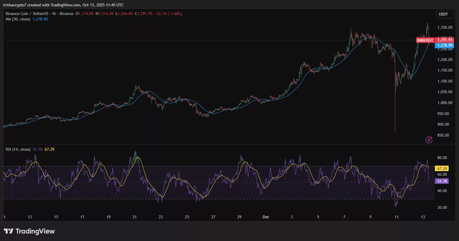Binance coin experienced a spike in value following news of China Renaissance's plan for a BNB crypto treasury | Source: TradingView