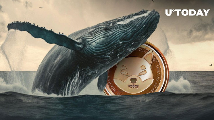 Огромный кит шиба-ину (SHIB) родился после передачи 4,6 триллионов