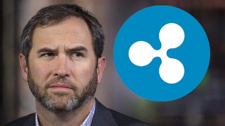 Генеральный директор Ripple Брэд Гарлингхаус сделал важные заявления о XRP! «Мы не будем их поддерживать!»