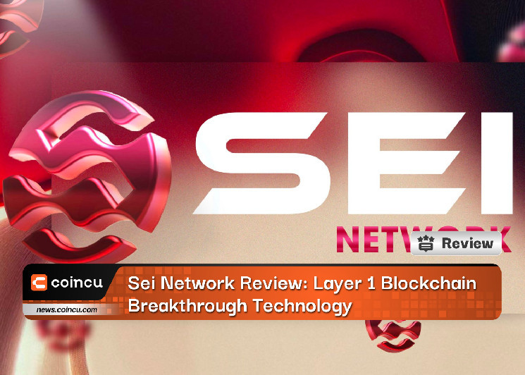 Обзор Sei Network: прорывная технология блокчейна уровня 1